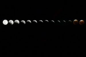 Moon Phases